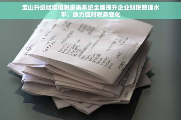 宝山升级版增值税发票系统全面提升企业财税管理水平，助力应对税务变化