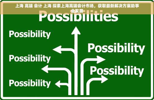 上海 高端 会计 上海 探索上海高端会计市场，获取最新解决方案助事业发展