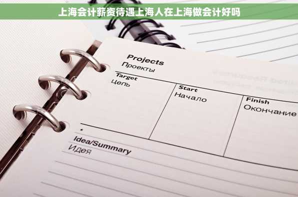 上海会计薪资待遇上海人在上海做会计好吗