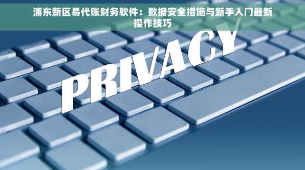 浦东新区易代账财务软件：数据安全措施与新手入门最新操作技巧
