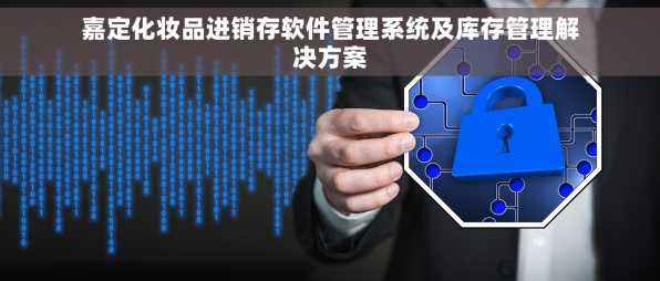 嘉定化妆品进销存软件管理系统及库存管理解决方案