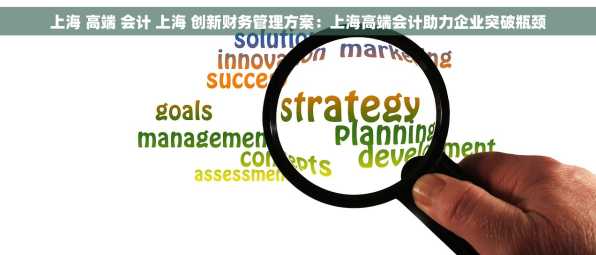 上海 高端 会计 上海 创新财务管理方案：上海高端会计助力企业突破瓶颈