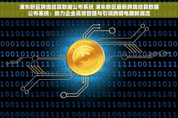 浦东新区跨境结算数据公布系统 浦东新区最新跨境结算数据公布系统：助力企业高效管理与引领跨境电商新潮流
