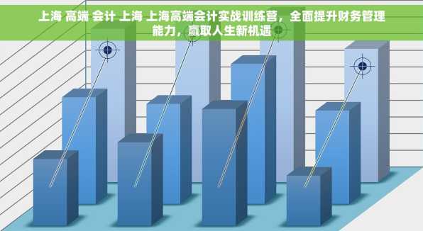 上海 高端 会计 上海 上海高端会计实战训练营，全面提升财务管理能力，赢取人生新机遇
