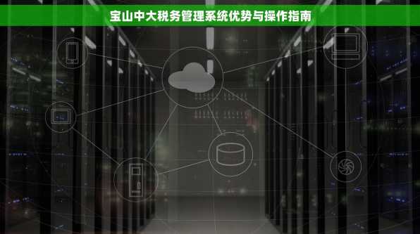 宝山中大税务管理系统优势与操作指南