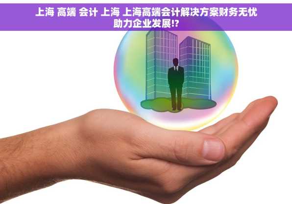 上海 高端 会计 上海 上海高端会计解决方案财务无忧助力企业发展!?
