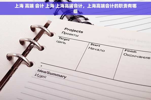 上海 高端 会计 上海 上海高端会计，上海高端会计的职责有哪些