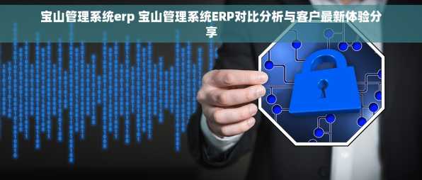 宝山管理系统erp 宝山管理系统ERP对比分析与客户最新体验分享