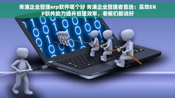 青浦企业管理erp软件哪个好 青浦企业管理者首选：高效ERP软件助力提升管理效率，老板们都说好