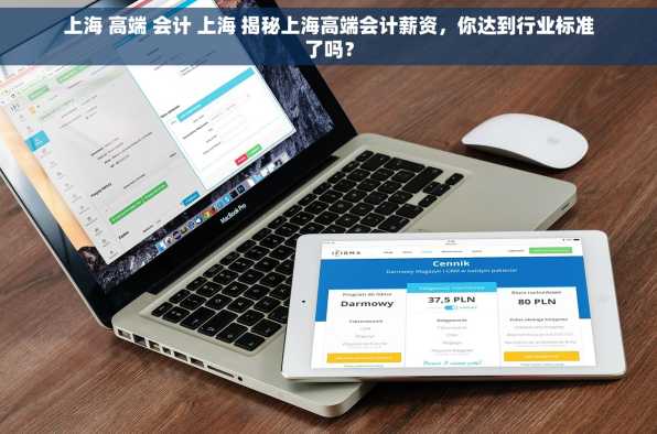 上海 高端 会计 上海 揭秘上海高端会计薪资，你达到行业标准了吗？