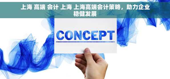 上海 高端 会计 上海 上海高端会计策略，助力企业稳健发展