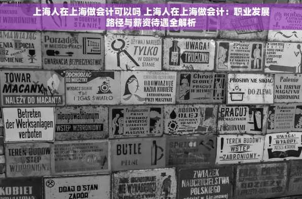 上海人在上海做会计可以吗 上海人在上海做会计：职业发展路径与薪资待遇全解析