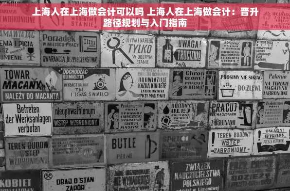 上海人在上海做会计可以吗 上海人在上海做会计：晋升路径规划与入门指南