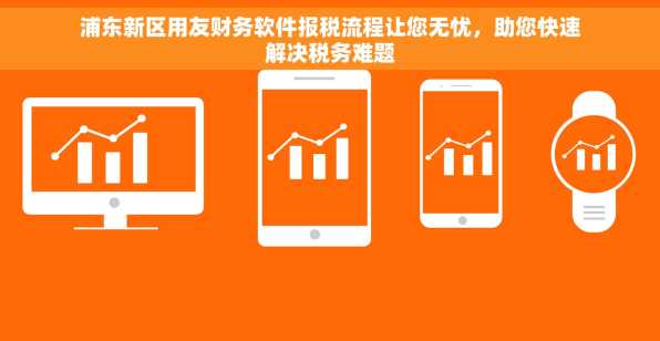 浦东新区用友财务软件报税流程让您无忧，助您快速解决税务难题