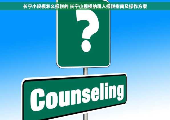 长宁小规模怎么报税的 长宁小规模纳税人报税指南及操作方案