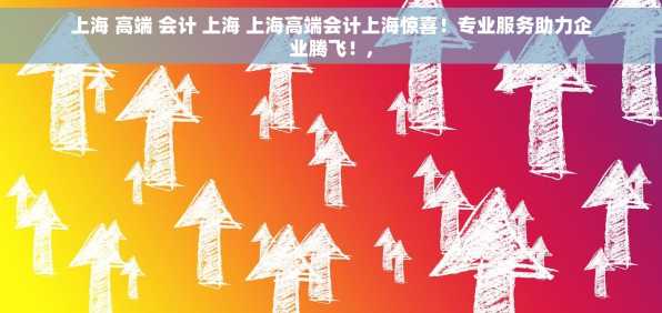 上海 高端 会计 上海 上海高端会计上海惊喜！专业服务助力企业腾飞！,