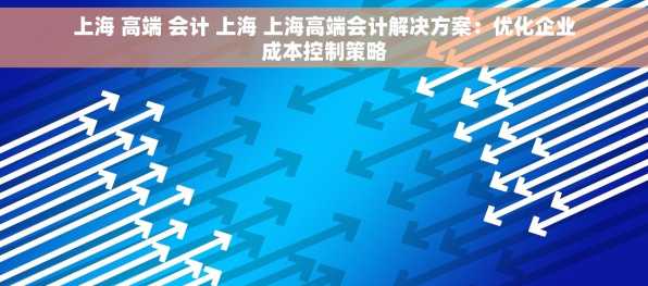 上海 高端 会计 上海 上海高端会计解决方案：优化企业成本控制策略