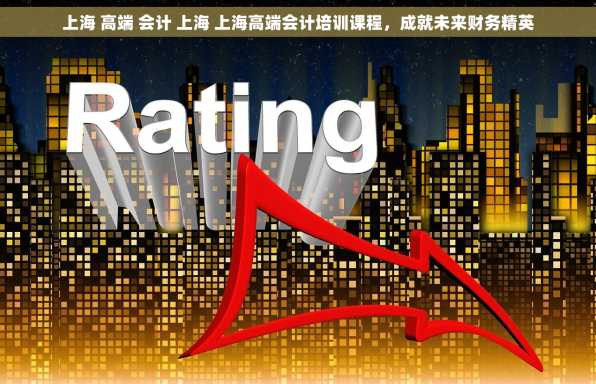 上海 高端 会计 上海 上海高端会计培训课程，成就未来财务精英