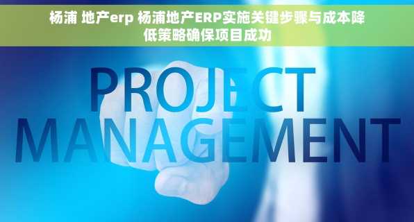杨浦 地产erp 杨浦地产ERP实施关键步骤与成本降低策略确保项目成功