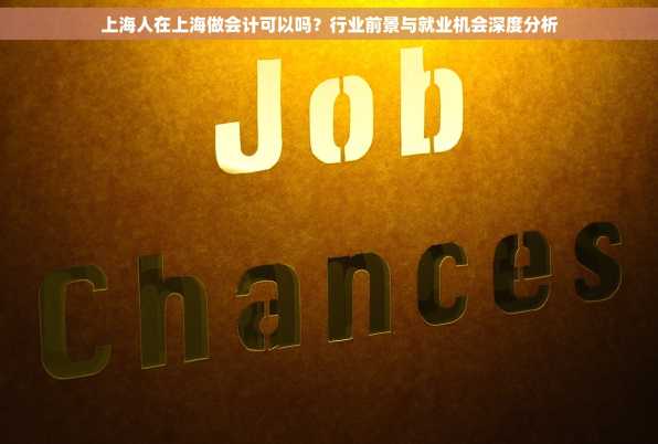 上海人在上海做会计可以吗？行业前景与就业机会深度分析