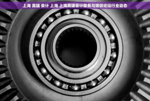 上海 高端 会计 上海 上海高端会计服务与培训论坛行业动态