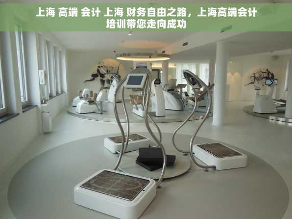 上海 高端 会计 上海 财务自由之路，上海高端会计培训带您走向成功