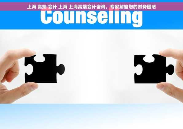上海 高端 会计 上海 上海高端会计咨询，专家解答您的财务困惑