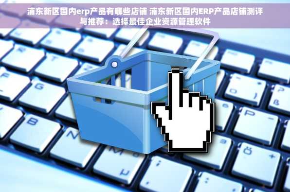 浦东新区国内erp产品有哪些店铺 浦东新区国内ERP产品店铺测评与推荐：选择最佳企业资源管理软件
