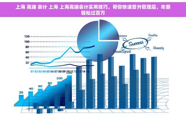 上海 高端 会计 上海 上海高端会计实用技巧，帮你快速晋升管理层，年薪轻松过百万