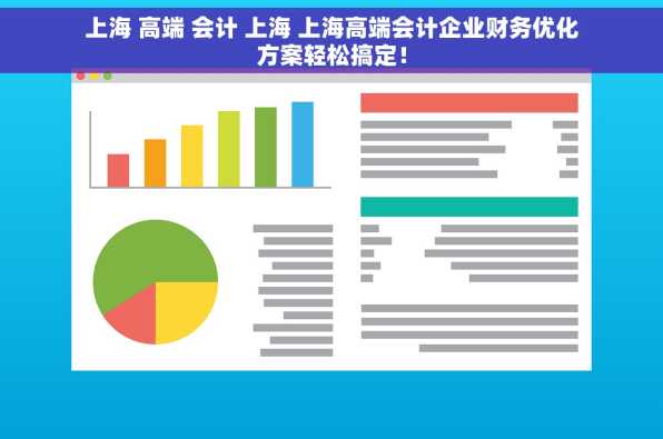 上海 高端 会计 上海 上海高端会计企业财务优化方案轻松搞定！