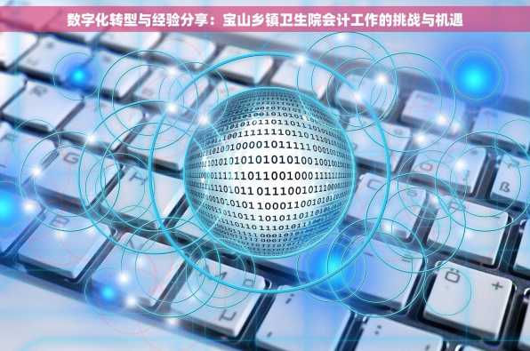 数字化转型与经验分享：宝山乡镇卫生院会计工作的挑战与机遇
