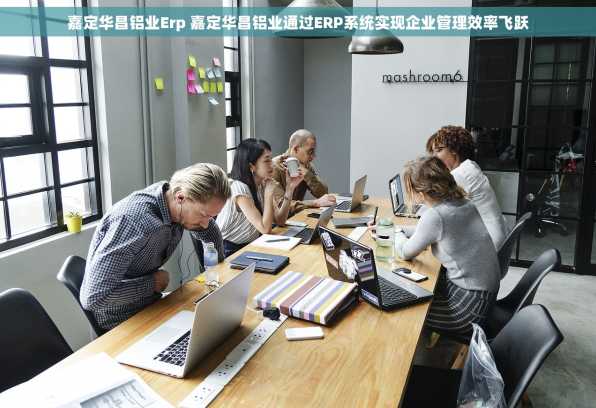 嘉定华昌铝业Erp 嘉定华昌铝业通过ERP系统实现企业管理效率飞跃