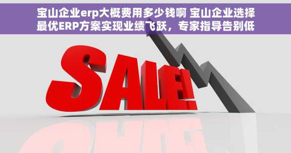 宝山企业erp大概费用多少钱啊 宝山企业选择最优ERP方案实现业绩飞跃，专家指导告别低效管理