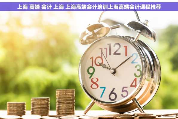 上海 高端 会计 上海 上海高端会计培训上海高端会计课程推荐