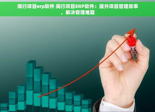 闽行项目erp软件 闽行项目ERP软件：提升项目管理效率，解决管理难题