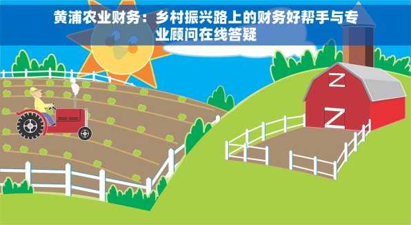 黄浦农业财务：乡村振兴路上的财务好帮手与专业顾问在线答疑
