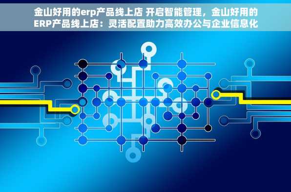 金山好用的erp产品线上店 开启智能管理，金山好用的ERP产品线上店：灵活配置助力高效办公与企业信息化建设