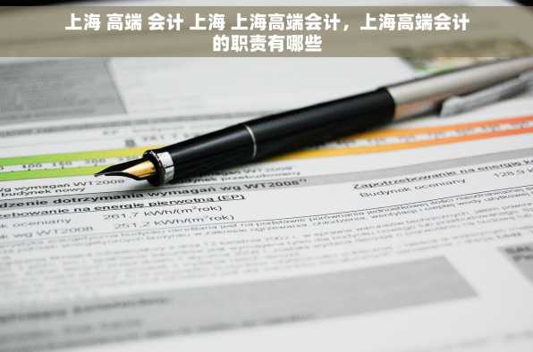 上海 高端 会计 上海 上海高端会计，上海高端会计的职责有哪些