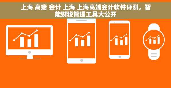上海 高端 会计 上海 上海高端会计软件评测，智能财税管理工具大公开