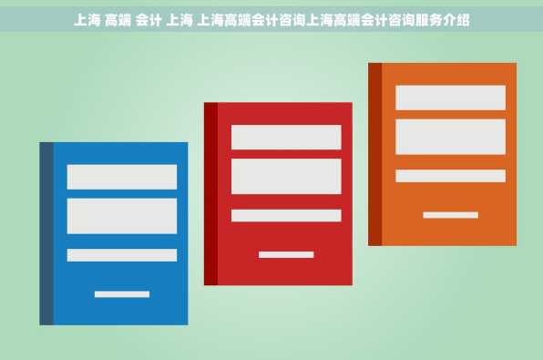 上海 高端 会计 上海 上海高端会计咨询上海高端会计咨询服务介绍
