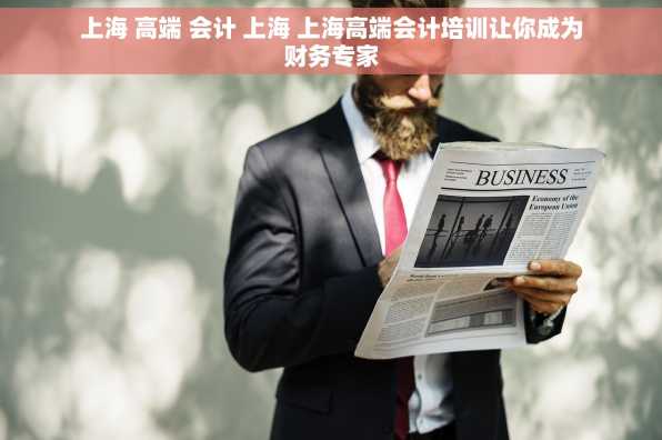 上海 高端 会计 上海 上海高端会计培训让你成为财务专家