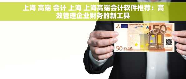上海 高端 会计 上海 上海高端会计软件推荐：高效管理企业财务的新工具