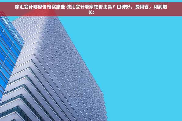 徐汇会计哪家价格实惠些 徐汇会计哪家性价比高？口碑好，费用省，利润增长!