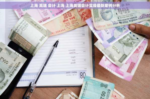 上海 高端 会计 上海 上海高端会计实操最新案例分析