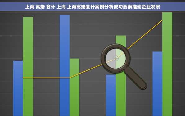 上海 高端 会计 上海 上海高端会计案例分析成功要素推动企业发展