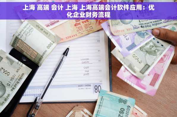 上海 高端 会计 上海 上海高端会计软件应用：优化企业财务流程