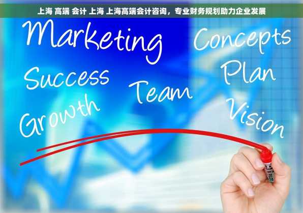 上海 高端 会计 上海 上海高端会计咨询，专业财务规划助力企业发展