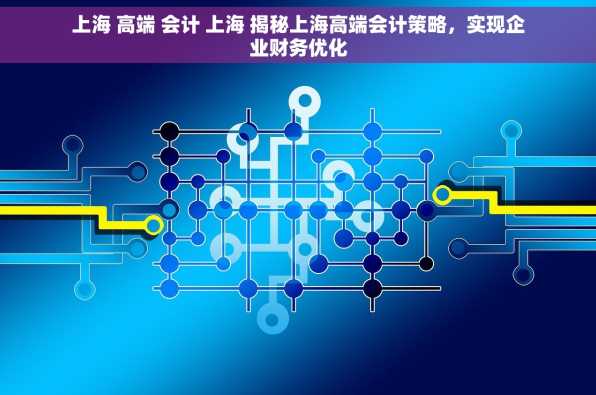 上海 高端 会计 上海 揭秘上海高端会计策略，实现企业财务优化