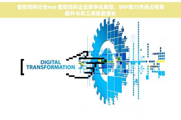 普陀饲料行业erp 普陀饲料企业数字化转型，ERP助力市场占有率提升与员工满意度增长