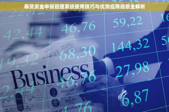 奉贤资金申报管理系统使用技巧与优势应用场景全解析